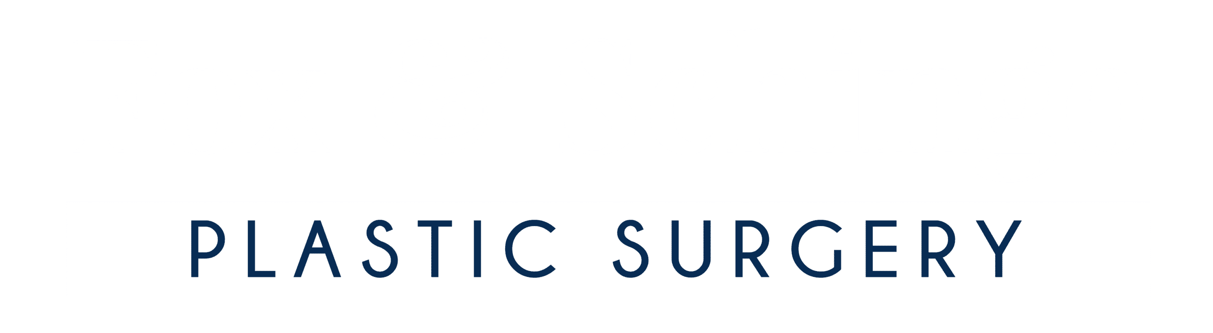 FS Logo White NO Bkgrd rectangle large